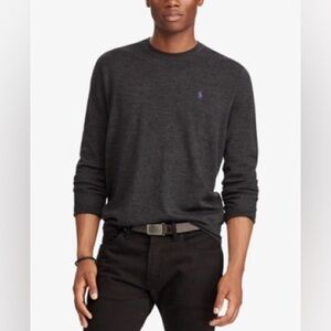 Polo Ralph Lauren Sweater Mens Large Crew Neck Purple Pony